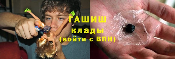 гашик Алексин