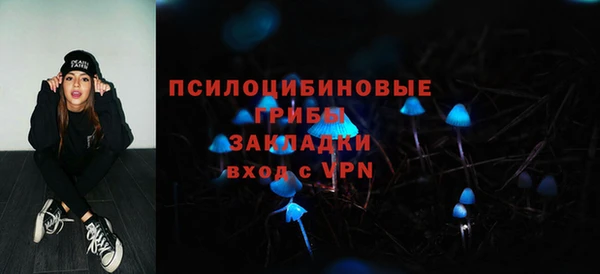 PSILOCYBIN Абаза
