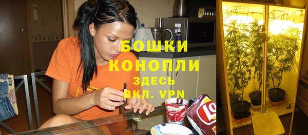 гашик Алексин