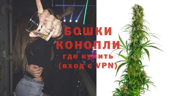 PSILOCYBIN Абаза