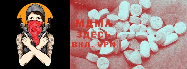 гашик Алексин