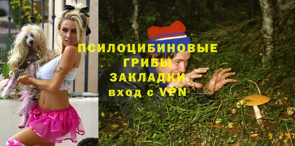 гашик Алексин