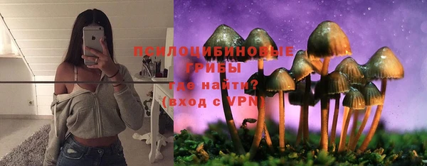 кокс Абдулино